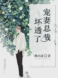 沐暖暖和慕霆枭免费阅读