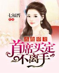 逃跑娇妻:首席买定不离手