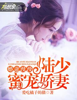 婚途漫漫:陆少蜜宠娇妻