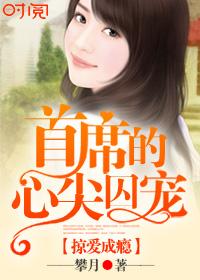 掠爱成瘾:首席的心尖囚宠