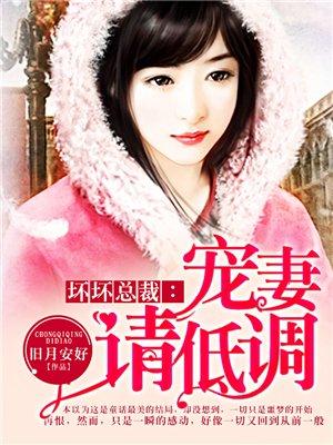 坏坏总裁:宠妻请低调