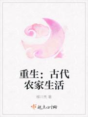重生:古代农家生活