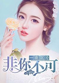 一夜沉沦:非你不可