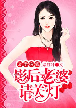 宠妻有瘾:影后老婆请关灯