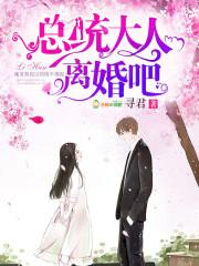 总统大人,离婚吧!