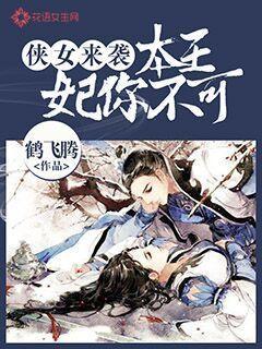 侠女来袭:本王妃你不可