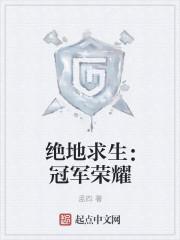 绝地求生:冠军荣耀