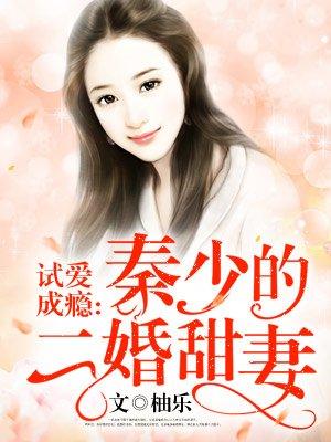 试爱成瘾:秦少的二婚甜妻