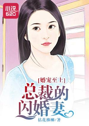 婚宠至上:总裁的闪婚妻