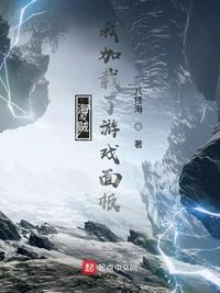 海贼:我加载了游戏面板