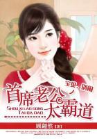 首席老公太霸道:宝贝,别闹