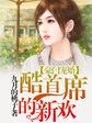 豪门宠婚:酷首席的新欢