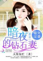 萌宝突袭:暗夜黑帝的钻石妻