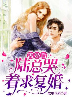 离婚后,陆总哭着求复婚