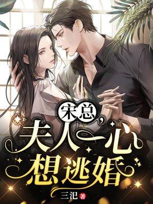 宋总,夫人一心想逃婚秦桑宋乾