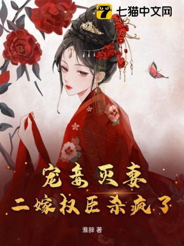 宠妾灭妻:二嫁权臣杀疯了