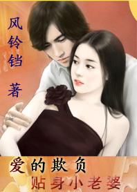 爱的欺负:贴身小老婆