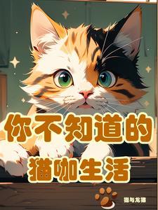 开局一家猫咖店,猫咪员工全靠捡