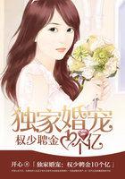 独家婚宠:权少聘金10个亿