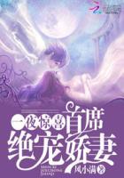 一夜惊喜:首席绝宠娇妻
