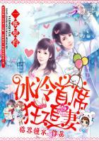 一纸契约:冰冷首席狂追妻