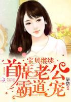 首席老公霸道宠:宝贝,继续