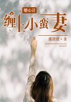 婚心计:缠上小蛮妻