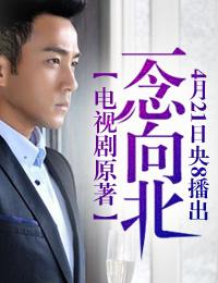 一念路向北(电视剧《一念向北》原著小说)