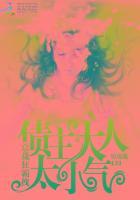 总裁狂霸拽:债主大人太小气