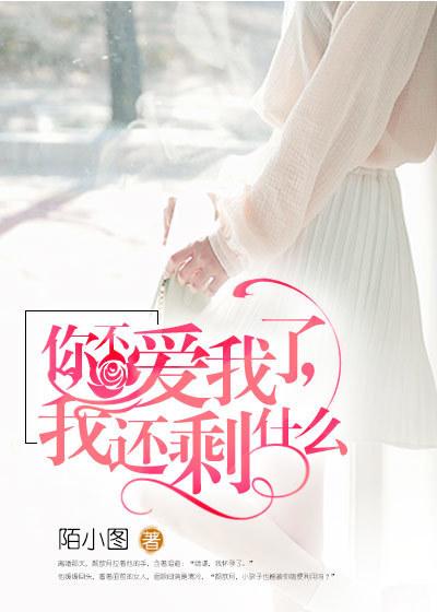你不爱我了,我还剩什么